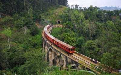 Train ride from Pattipola through the tea plantations to Ella